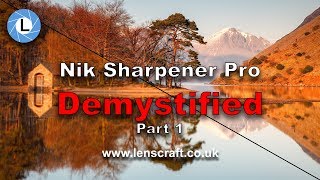 Mastering Nik Sharpener Pro RAW Presharpener  Bitesize Nik Tutorial [upl. by Dodie]