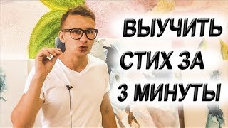 Как быстро выучить стих за 3 минуты  Стихотворение Фета  Бал Легко запомнить стих [upl. by Eveineg671]