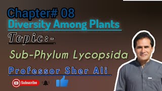 SubPhylum Lycopsida  kingdom plantea  by Sher Ali sir [upl. by Ibrek807]