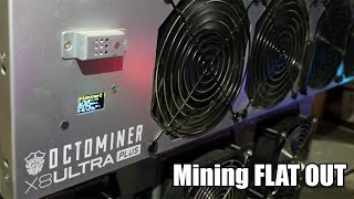 Crypto Mining FLAT OUT  Feels Good To be GPU Mining AGAIN [upl. by Nortad]