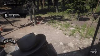 Red Dead Redemption 2Os irmãos SkinnersDetonando Acampamento [upl. by Avery]