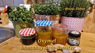 Immunsystem stärken mit Oxymel Einfach selbst gemacht und so gesund und lecker [upl. by Head]