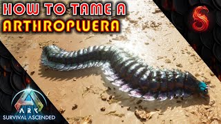 ARK SURVIVAL ASCENDED HOW TO TAME A ARTHROPLUERA [upl. by Leanora]