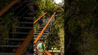 🌳Parque Nacional los Alerces ESQUEL Chubut  Ruta 40 Patagonia Argentina ruta40 [upl. by Dill388]