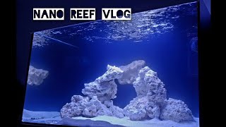 Nano Reef Vlog  250 litrów posolone 🧂🤿🐠 [upl. by Keir]