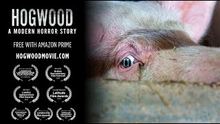 HOGWOOD  Now Streaming FREE with Amazon Prime  Award Winning Documentary [upl. by Bridwell]