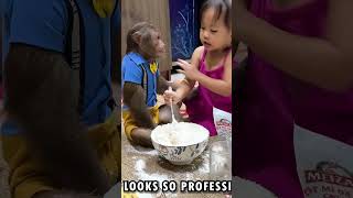 Oh  What are CUTIS and YEN NHI doingcutis monkey shortvideo [upl. by Aitnom]