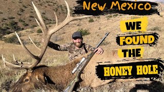 ELK HUNTING New Mexico 1st Day Bull at Love Of The Hunt Outfitters [upl. by Mei]