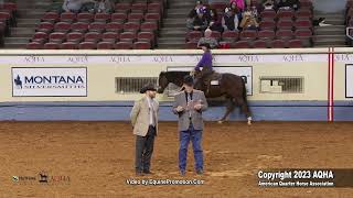 2023 AQHA World Championship Show Amateur Working Western Rail [upl. by Retsevlis]