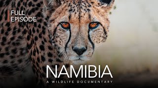 Namibia  Wildlife Documentary  FULL EPISODE [upl. by Henarat]