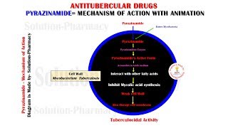 Antitubercular Drug  Pyrazinamide Mechanism of Action Animation  Anti TB Drugs  Pyrazinamide [upl. by Annaeiluj]