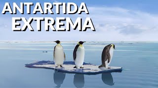 Documental Antartida Extrema [upl. by Wichman]