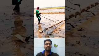 🤔விதை விதைக்க சூப்பர் ஐடியா⁉️  Super Farm Idea💯 trending seedsowing tipsandtricks ideas shorts [upl. by Okimat]