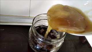 How to make Kombucha to cure TMAU and Body Odor [upl. by Kerianne]