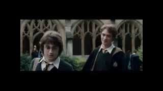 Remember Cedric Diggory [upl. by Avrit732]