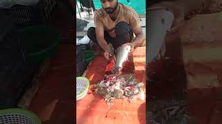 Amazing qatla fish cutting skills  shorts video [upl. by Girvin]