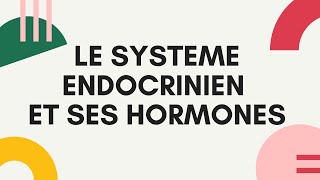 LE SYSTEME ENDOCRINIEN PART II [upl. by Diba]