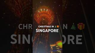 Supertree grove is Singapore Are the presents as large 🎄🎁 Singapore Christmas supertreegrove [upl. by Hennessey]