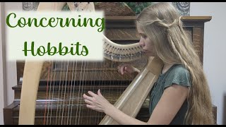 Concerning Hobbits Lord of the Rings Beginner Harp Cover [upl. by Ellersick]