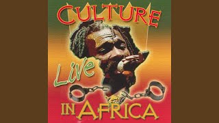 Tribal War Live In Africa [upl. by Glanville]