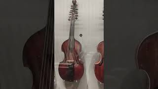 Viols and Bowed Stringed Instruments on display at St Cecilias Hall Edinburgh shorts [upl. by Hardie107]