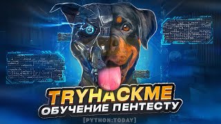 Пентест на практике с нуля  CTF  TryHackMe  DogCat  LFI RCE Отравление логов на apache [upl. by Cower]