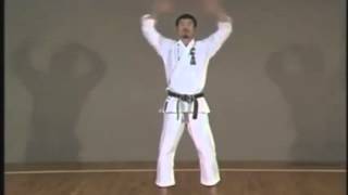 10 KATA Shotokan Slow Motion [upl. by Akimrehs]