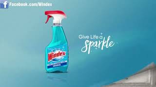 Windex Glass Cleaner Video [upl. by Halstead]