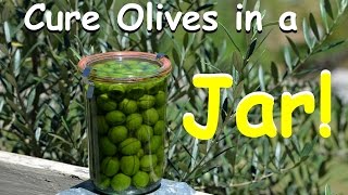 How to Cure Olives in a Jar  Homegrown DIY [upl. by Alasteir]