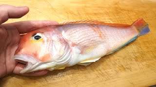 アマダイのさばき方と刺身（昆布締め） Sashimi of tilefish [upl. by Hildagarde]