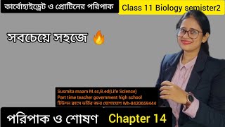 পরিপাক class 11 biology semister 2 chapter 14প্রোটিন ও কার্বোহাইড্রেটের পরিপাক [upl. by Naam]