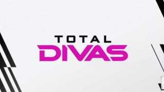 WWE amp E Total Divas official theme quotTop of the Worldquot by CFO [upl. by Miran]