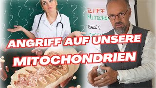 9 Mitochondrien Killer die du kennen solltest  DAS raubt dir deine ENERGIE 💪 [upl. by Terb]