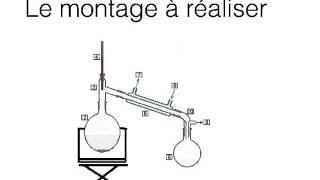 réaliser une extraction par entrainement à la vapeur [upl. by Chiles786]