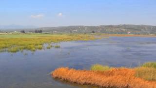 Gialova Lagoon Divar Natura 2000 Protected area Pylos Greece [upl. by Anikahs]