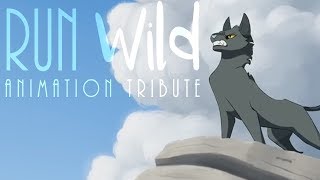 Run Wild  Animation Tribute [upl. by Nauqaj]