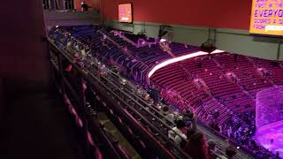 Scotiabank Arena Toronto Maple Leafs  View From Standing Room SRO Section 321 1924 vs Sharks [upl. by Eetnwahs]