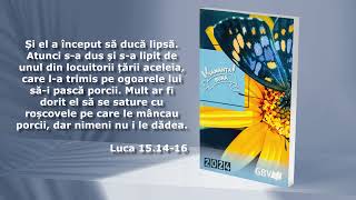 Întoarcerea acasă dintro țară îndepărtată 5  Miercuri 31 ianuarie 2024 [upl. by Engis]