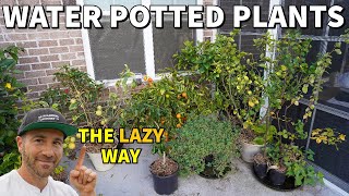 The Laziest Way To Water Potted Plants While Away On Vacation [upl. by Koah]