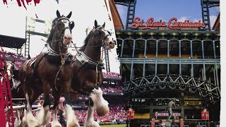 Today in St Louis is live from Busch Stadium for the Cardinals home opener [upl. by Starbuck]