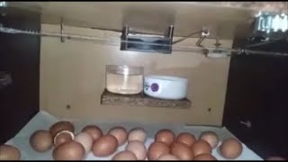 Incubadora de huevos casera de madera [upl. by Carder163]