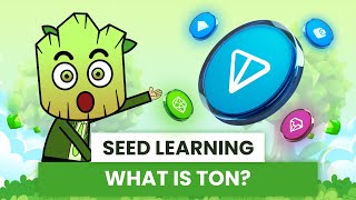 What is TON Blockchain Simply explained for Beginners  SEED Learning 6 [upl. by Eiluj]