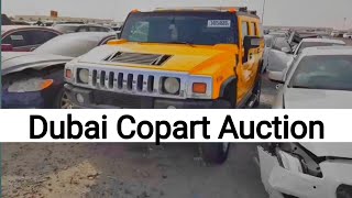 Copart Auction in dubai  Emirates Action  Dubai Car business  dream car in dubai [upl. by Holli]