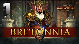 THE LION RISES Total War Warhammer  Bretonnia Campaign 1 [upl. by Farhsa]