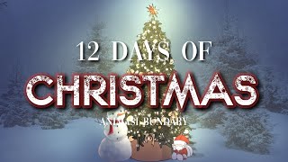 12 Days of Christmas Pentatonix Animation by Animasi Bundary [upl. by Enirahtac]