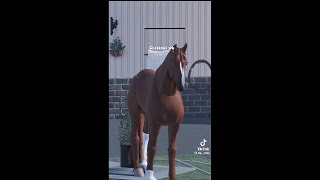 🍁Maple Springs Eventing🍁  TikTok Compilation🍂 [upl. by Regdor]