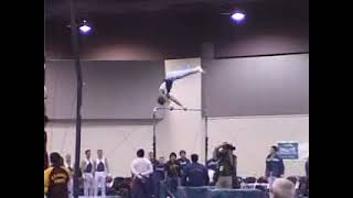 Weiler  Free Hip Circle Forward on High Bar [upl. by Nnylorac]