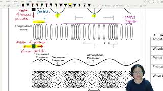 71a Transverse and Longitudinal Waves  AS Waves  Cambridge A Level 9702 Physics [upl. by Atekal126]