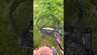 Pike fishing the river Wychwood Agitator setup fishing pikefishing lurefishing [upl. by Oab332]