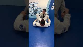 Ude Gatame  The Straight Arm Lock from Crab Guard [upl. by Airekahs716]